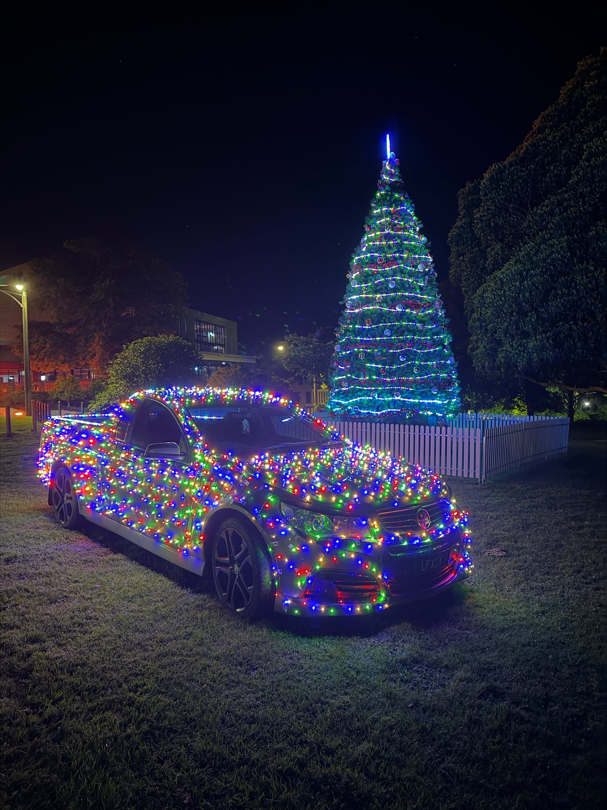 Driving home some Christmas cheer