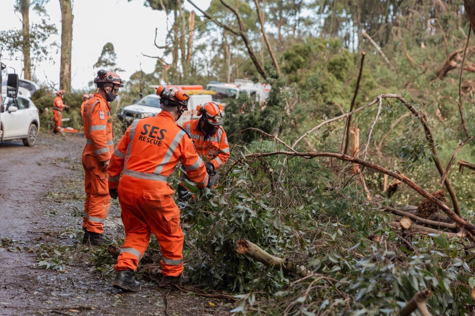 SES urge motorists to stay safe on roads