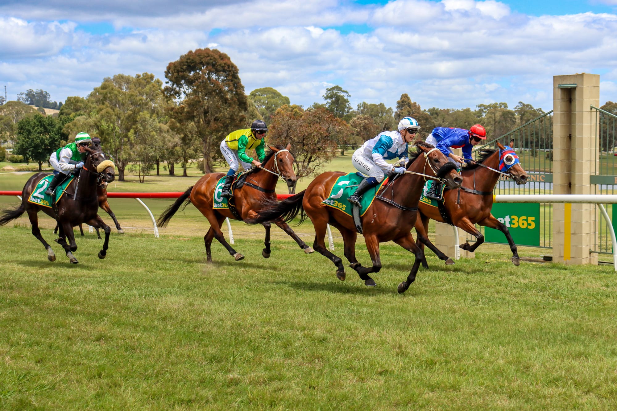 Drouin Picnic Races 2025 - December 26, 2025