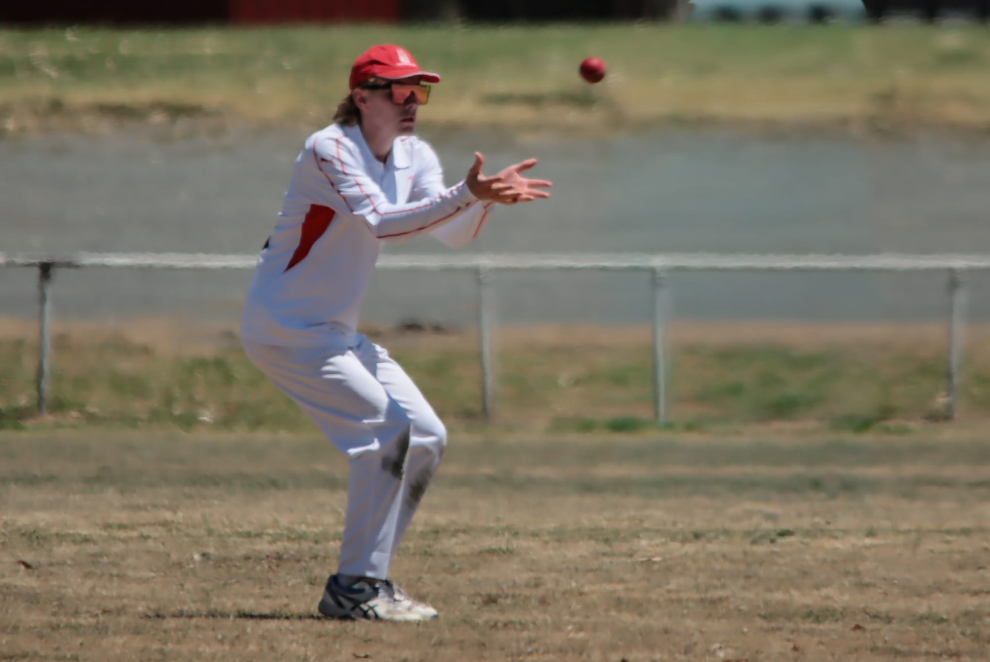 WDCA Cricket Division 3 Trafalgar vs Western Park - January 24, 2026