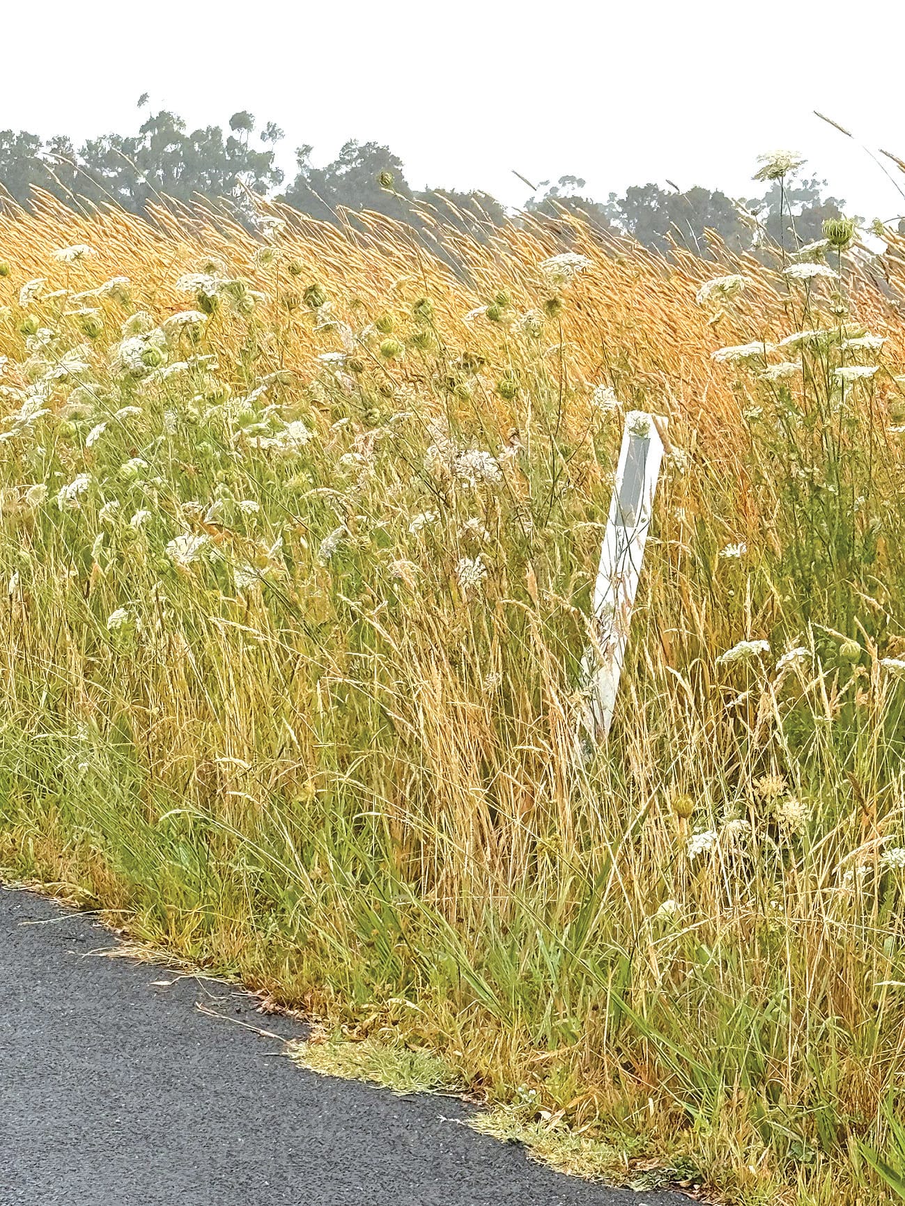 Roadside fire risk concern