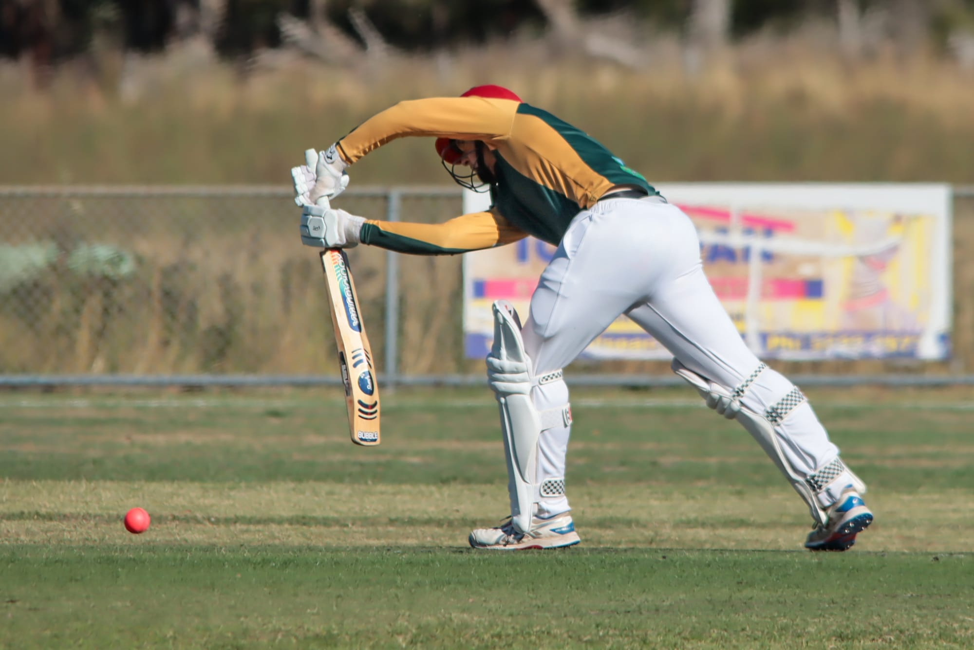 WDCA Cricket Under 17s Hallora vs Western Park - February 20, 2026