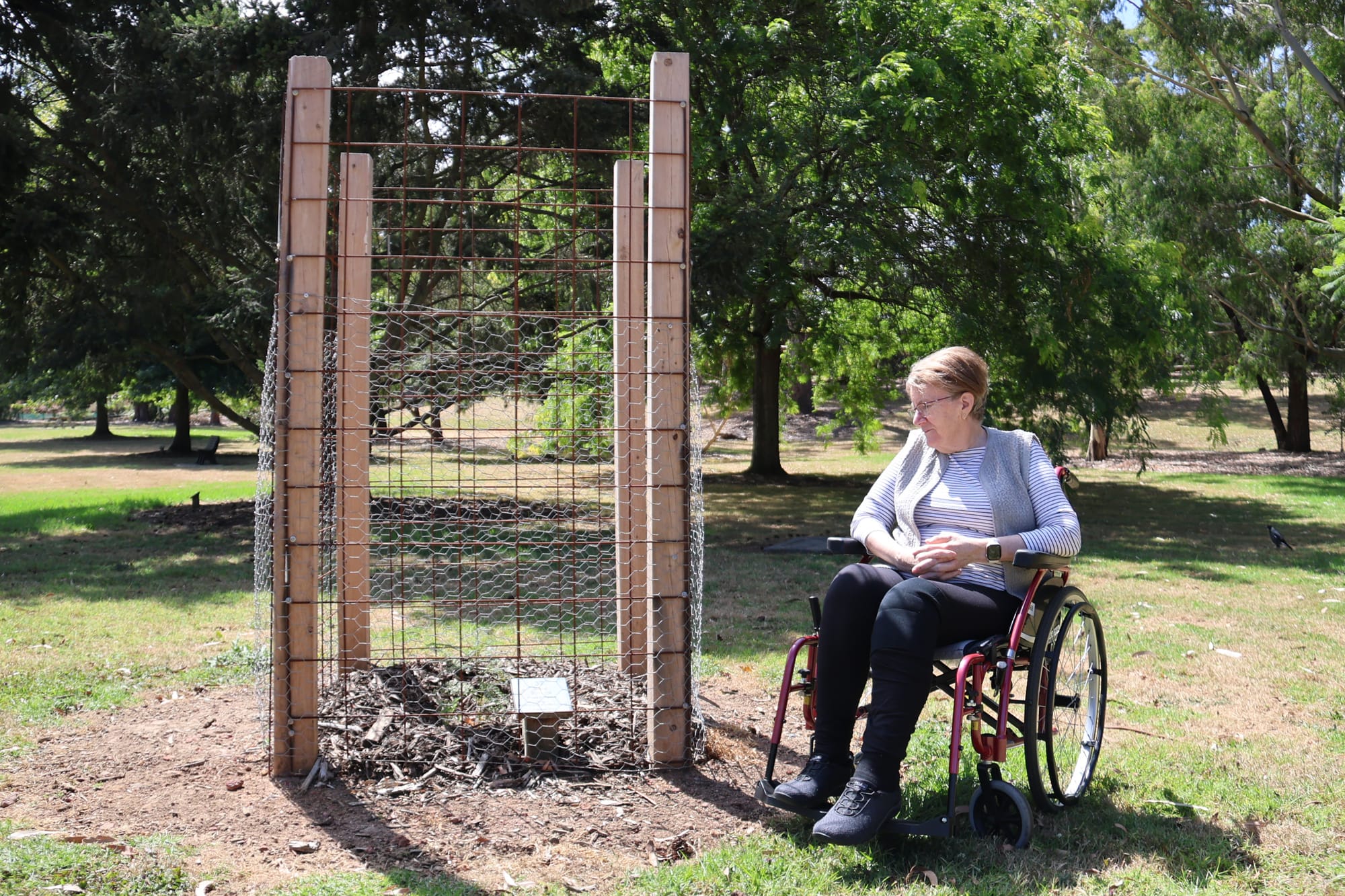 Third tree theftshocks local group