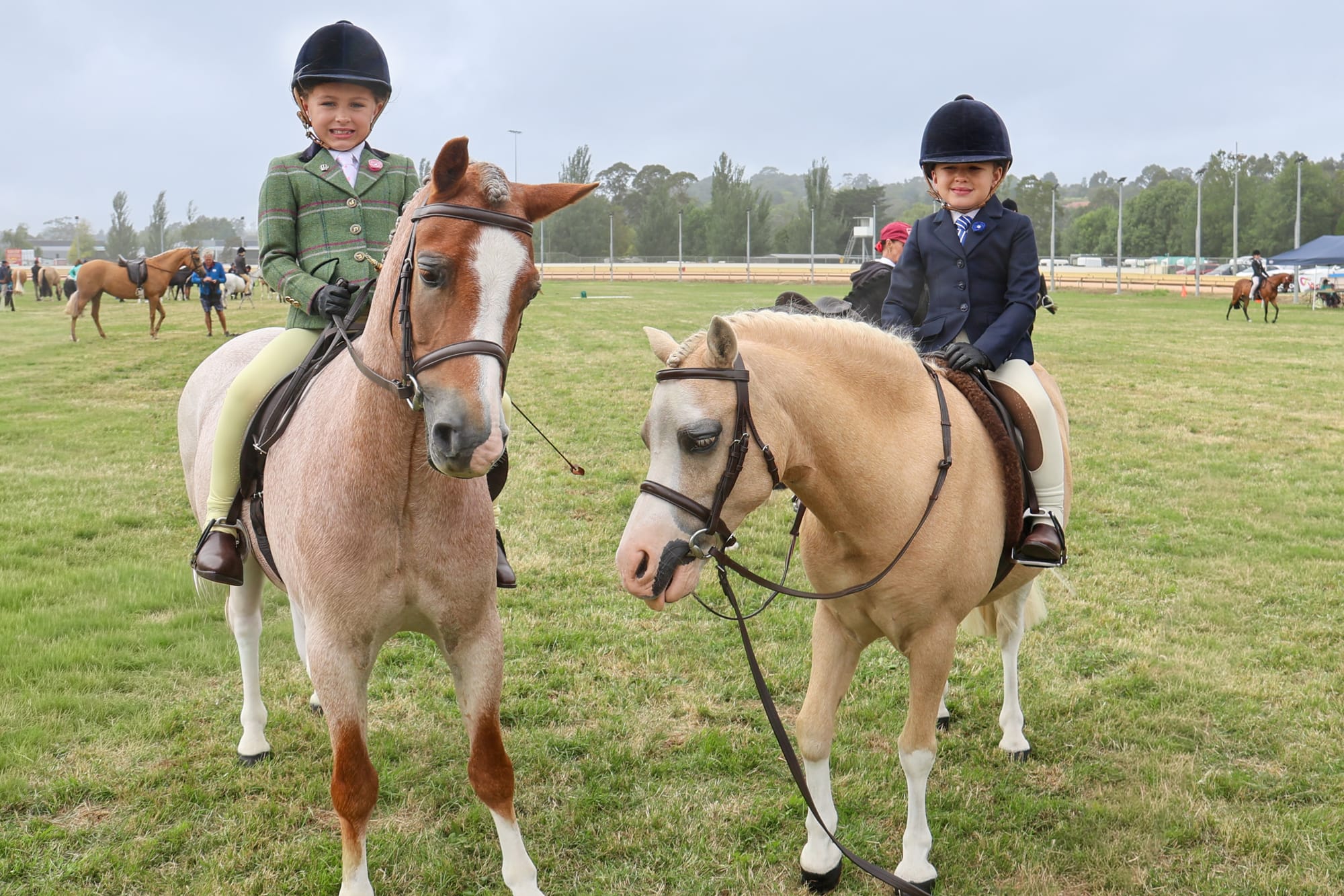 Warragul Show Equestrian Events - March 8, 2026