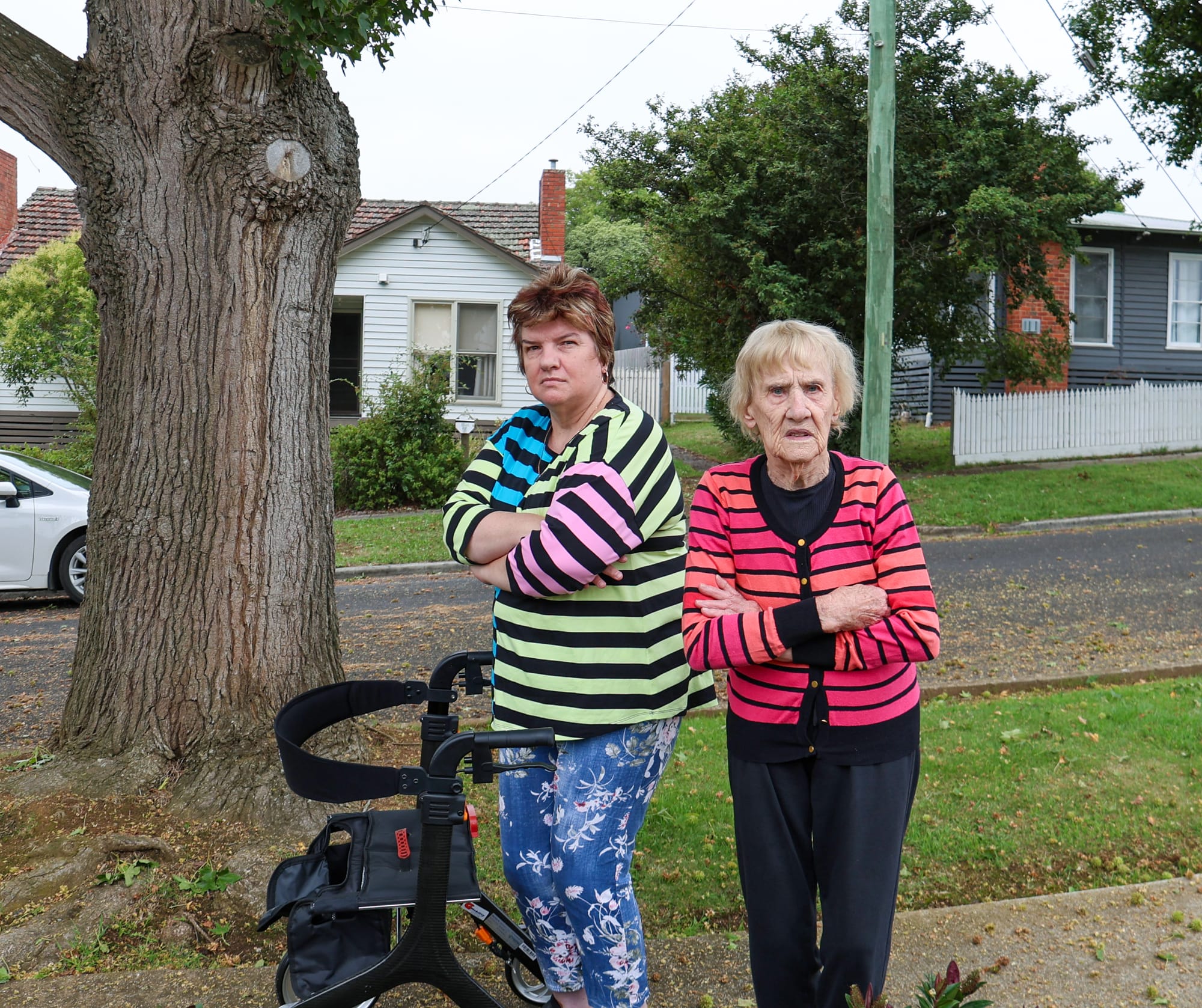 Trapped by tree debris