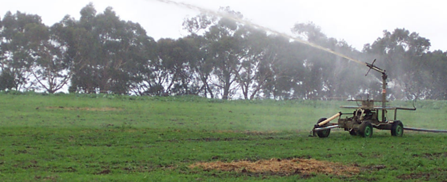 Boost pastures using effluent