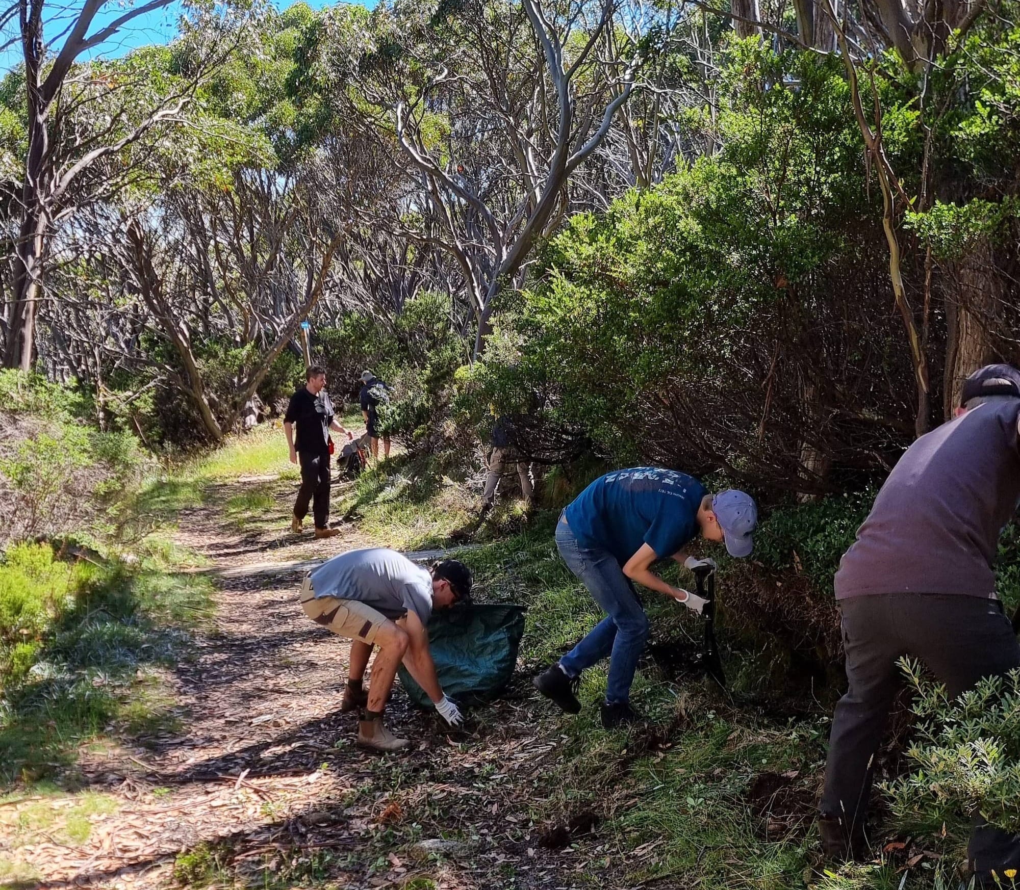 Mountain ready to rumble