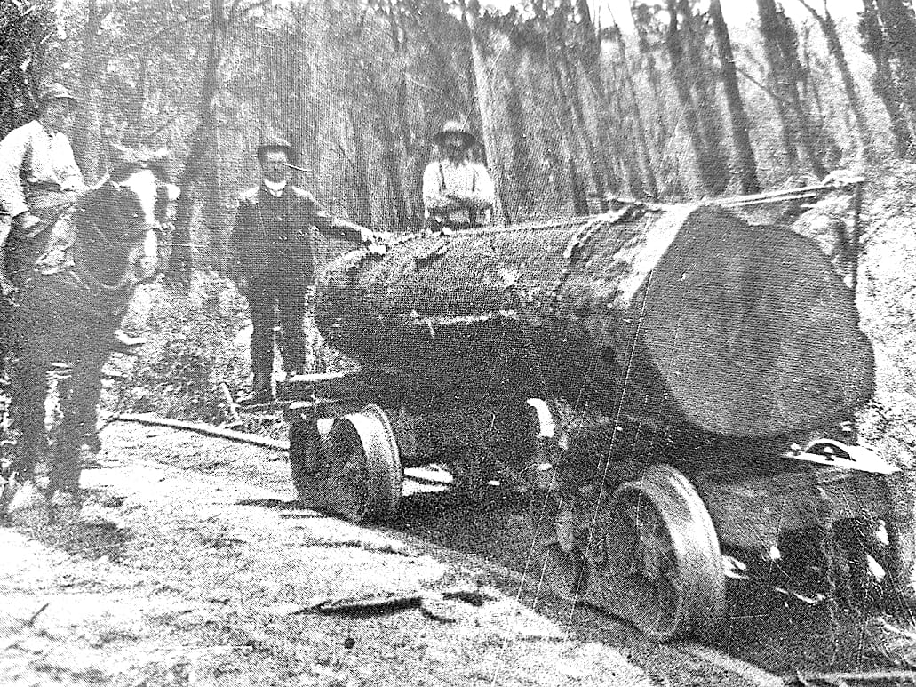 Snapshot of the past