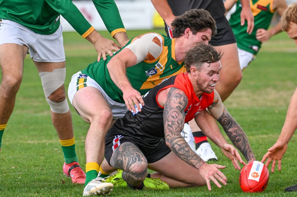Parrots punish Gulls post image