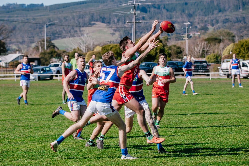 Tigers go top post image