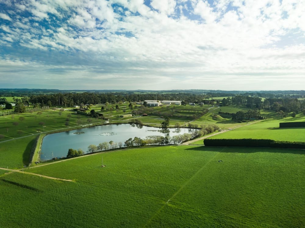 Beef day for Lardner Park post image