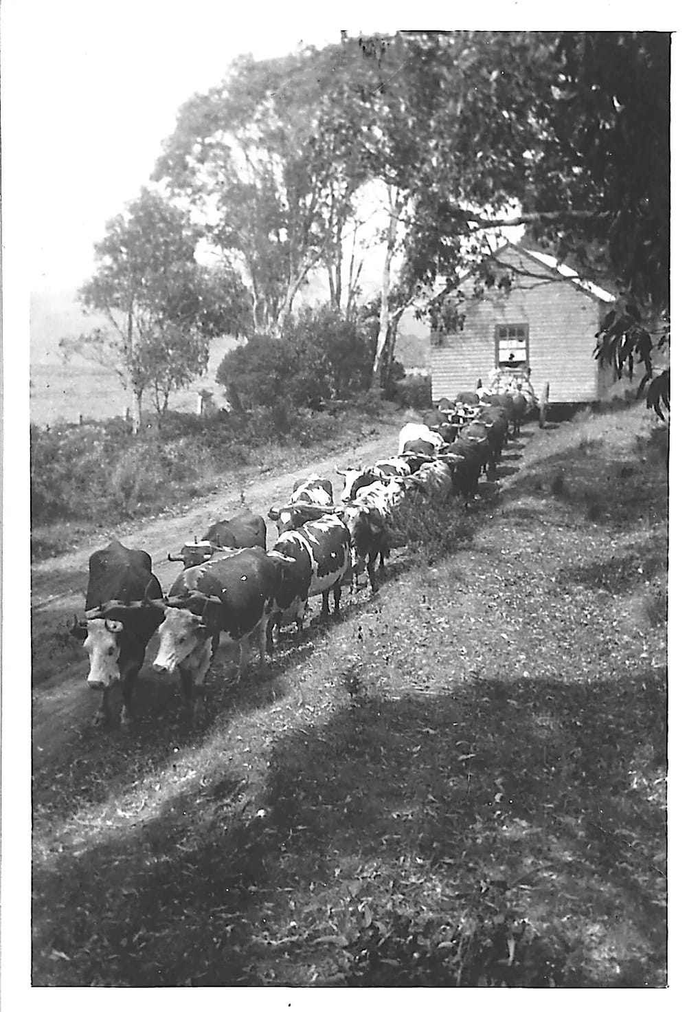 Snapshot of the past post image