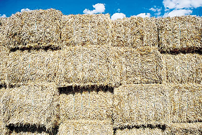 Roughage is essential post image