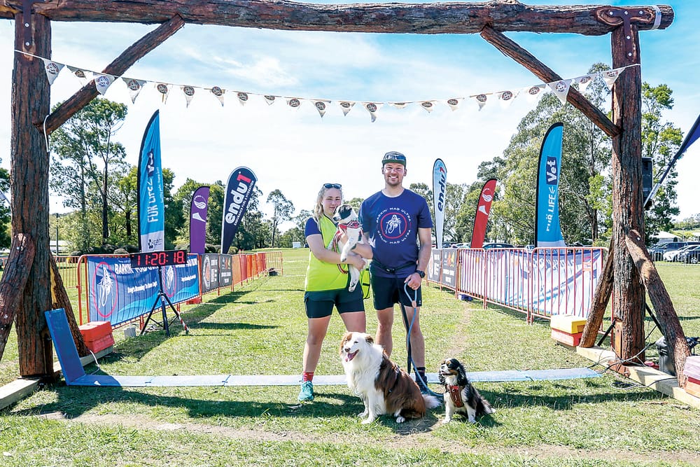 Barkin Mad helps 36 dogs in need post image