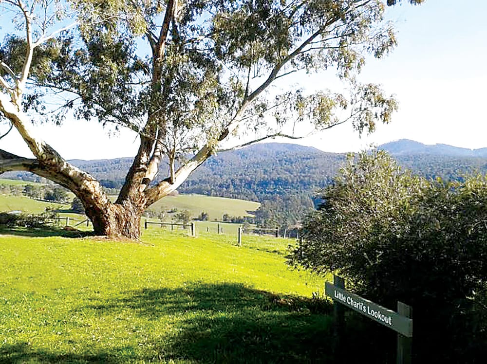 A lookout with a name post image