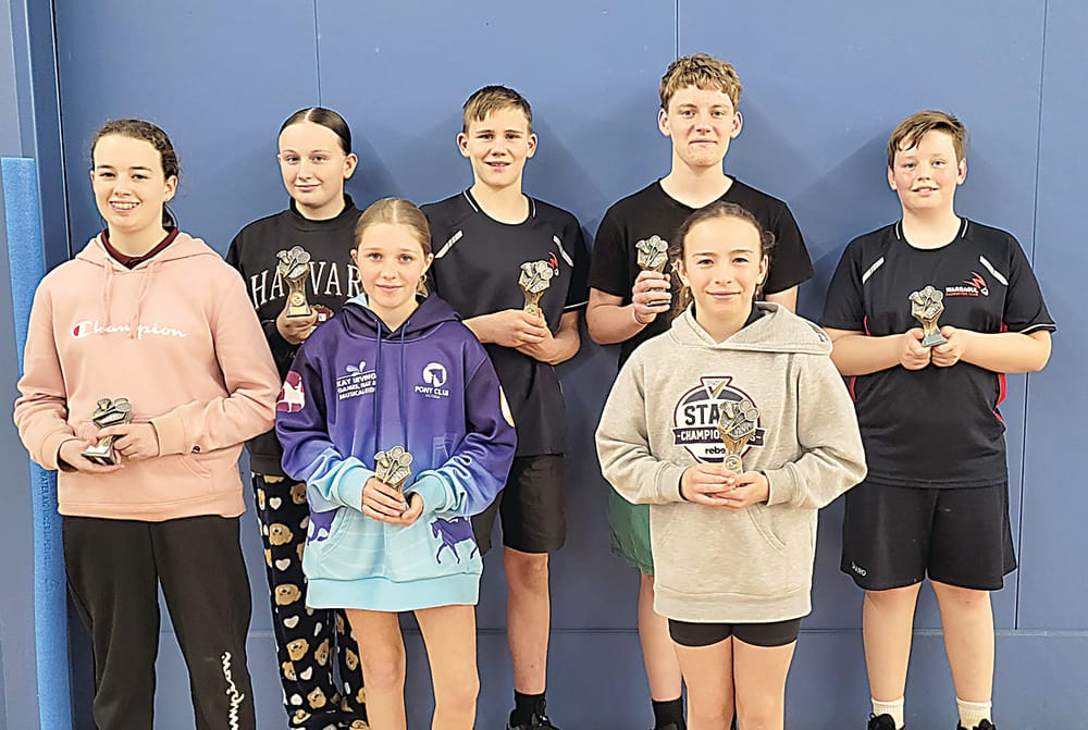 Badminton players team up for doubles post image