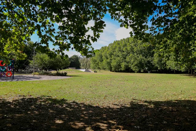 Baxter Park - 25.02.2025 post image