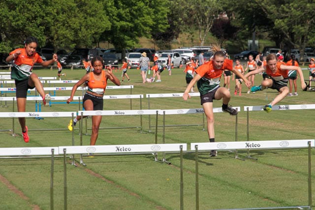 Little Aths - 23.11.2024 post image