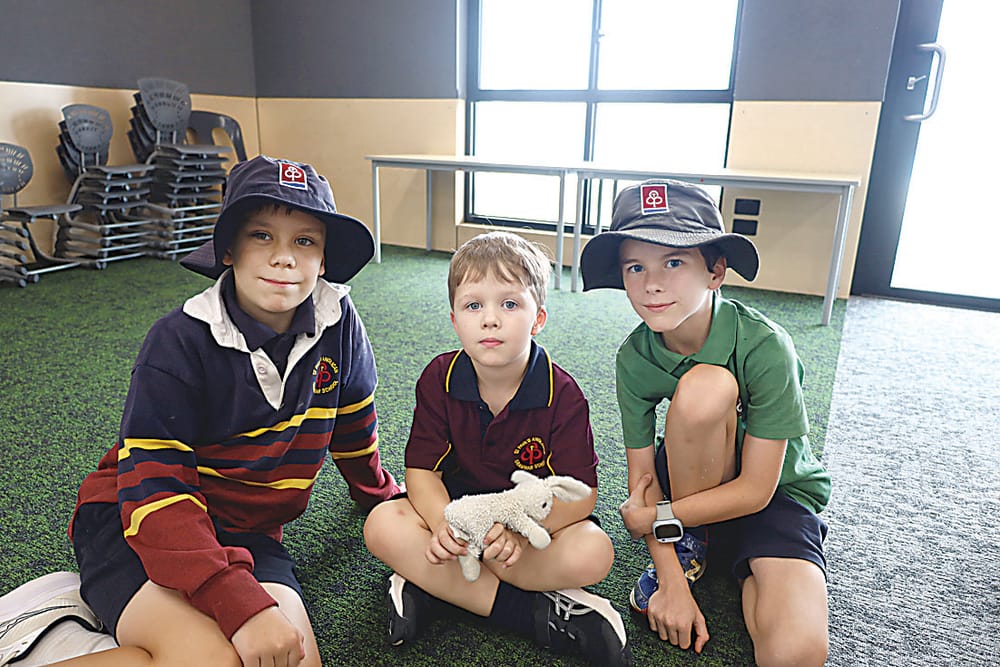 Finding a friend in buddy program post image