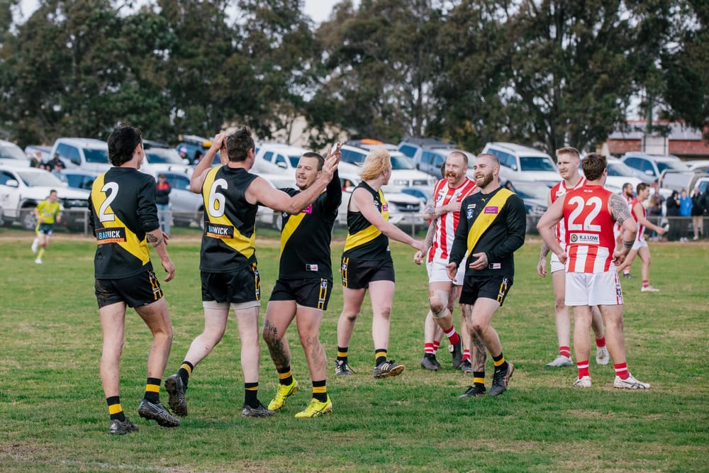 Tigers take down Bloods in reserves post image
