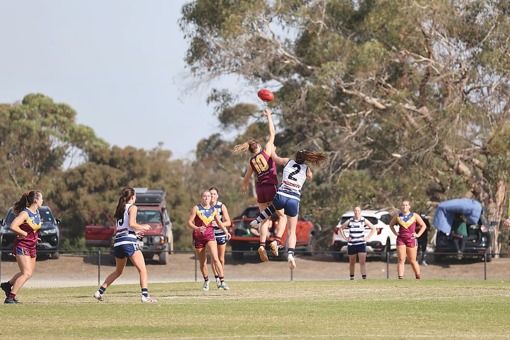 Dusties domination post image