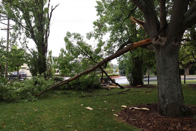 Wide-spread storm toll post image