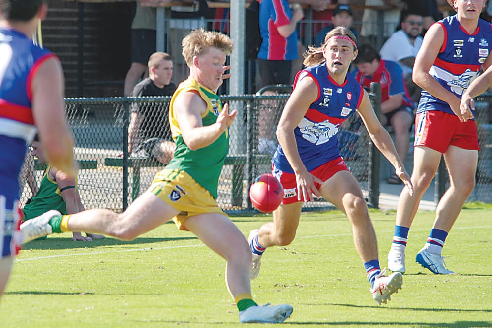 Stars suffer Bulldog mauling post image