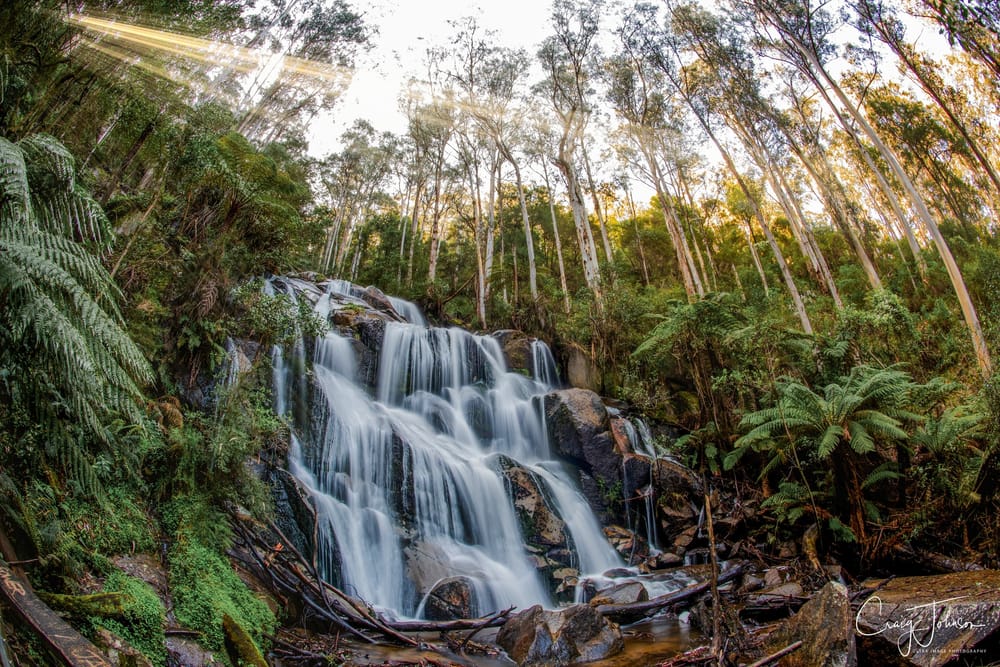 Kestigan to join Destination Gippsland post image