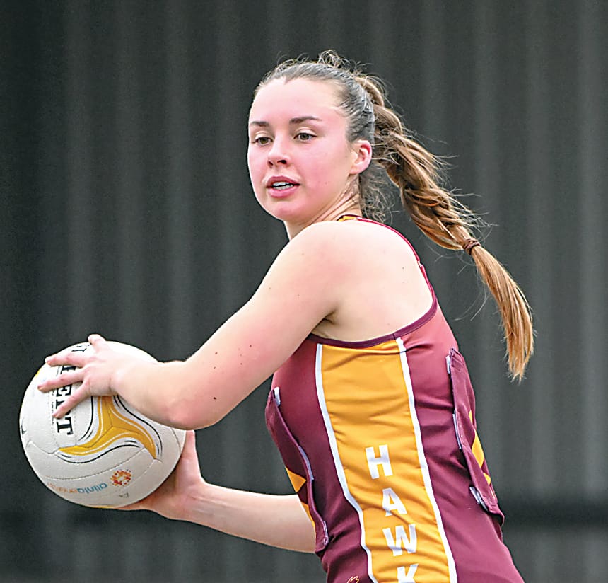 Hawks successful in must-win clash post image