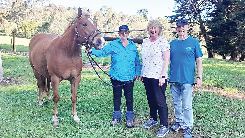 Rescue horses find a home at CCG post image