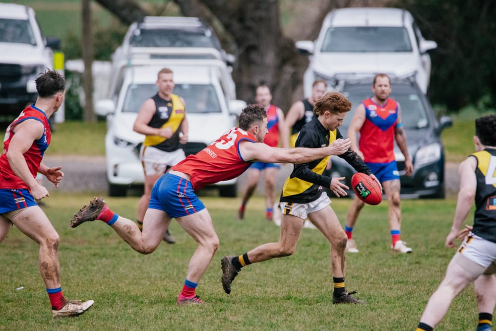 Last laugh for Lyrebirds post image