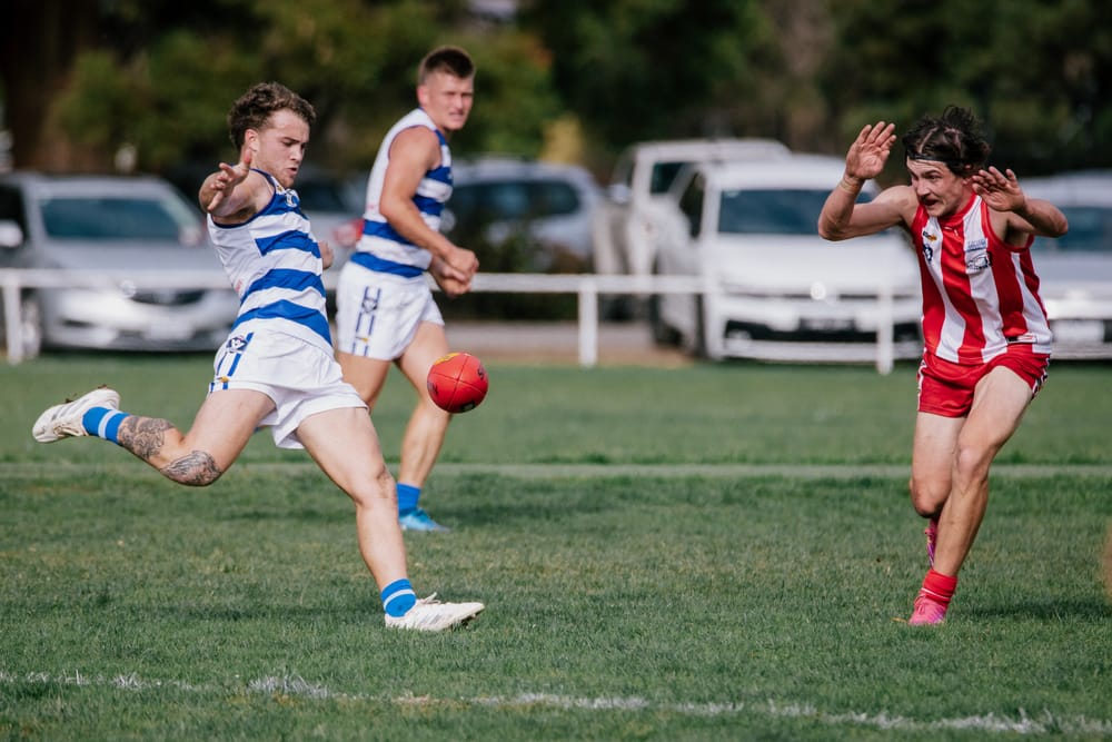 Cats get the cream post image