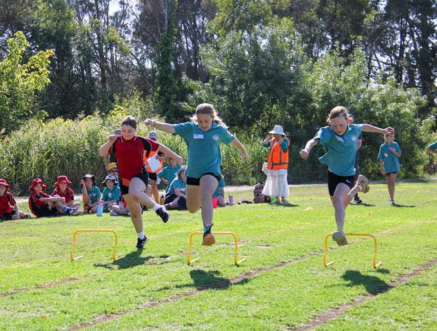 Nilma and Lardner PS Sports - 11.03.2025 post image