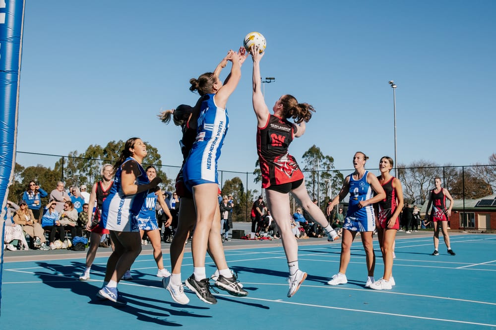 Cats defeat Bombers post image