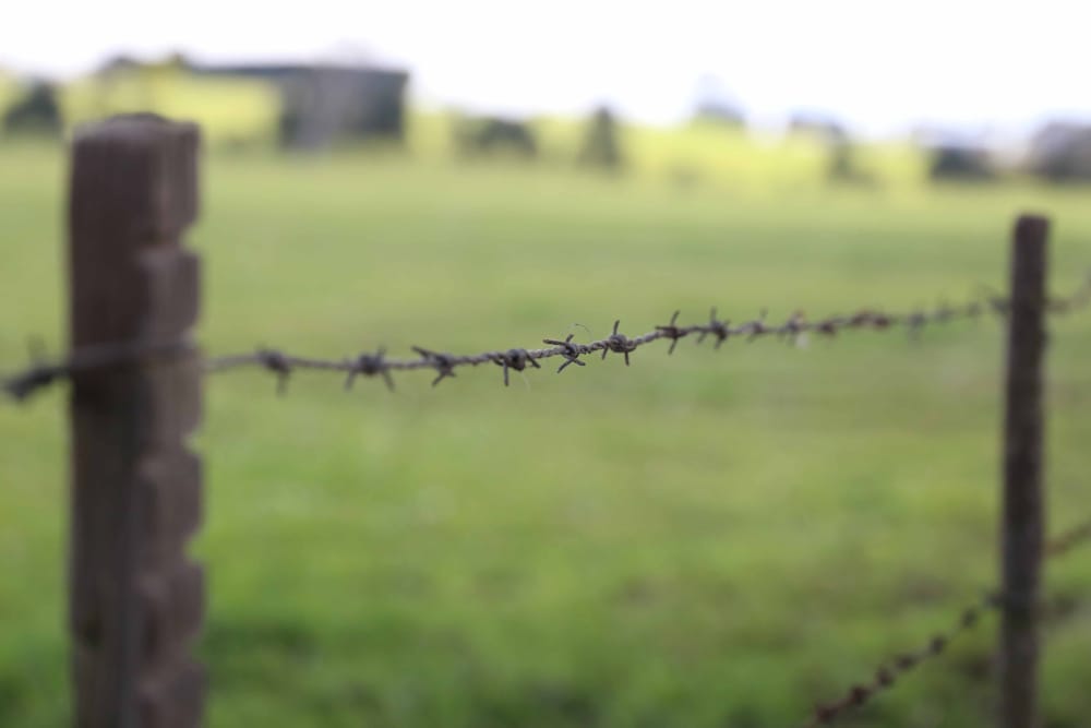 Barbecues for farming community post image