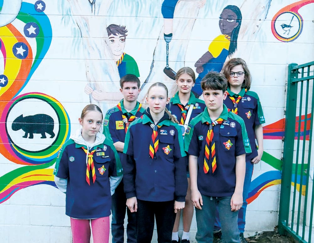 Burglary at scout hall post image