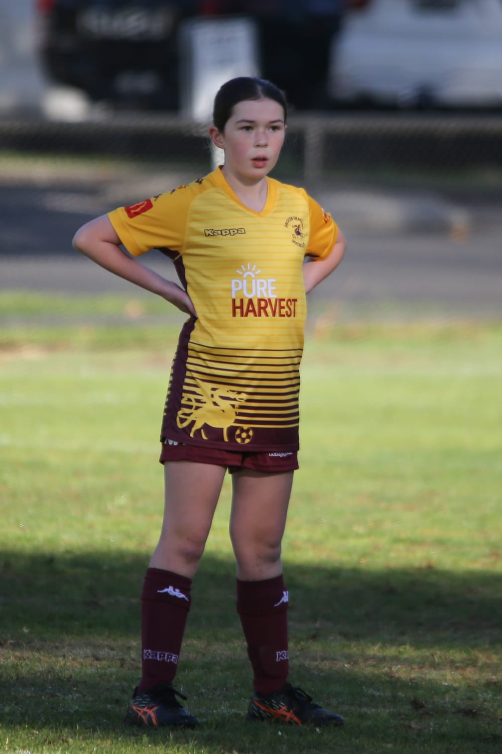 GSL Soccer U15 Girls Drouin Dragons Yellow Vs Droun Dragons Maroon - May 18, 2025 post image
