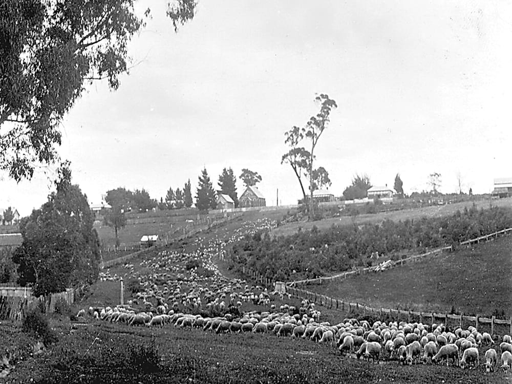 Snapshot of the past post image