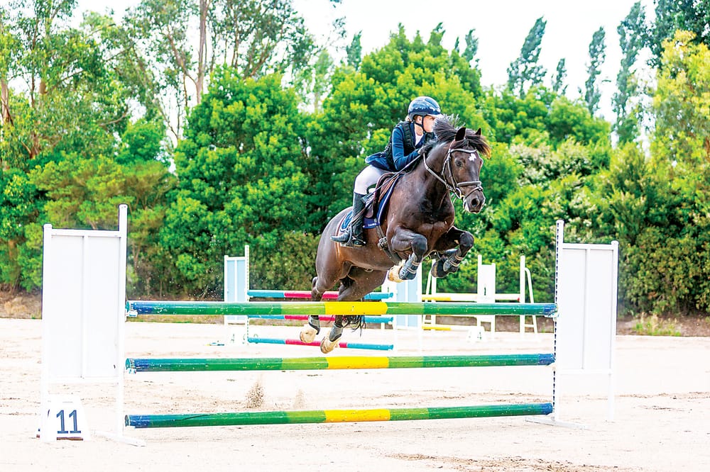 Jumping for Joyce post image