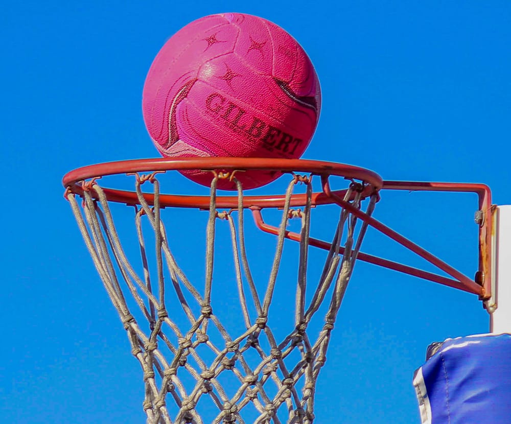 Magpies in a thriller post image