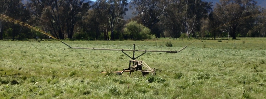 Use dairy effluent now on silage regrowth post image