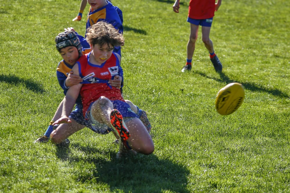 WDJFL under 12 Ellinbank vs Buln Buln - August 9, 2025 post image