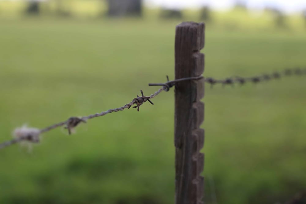 Drought assistance extended post image