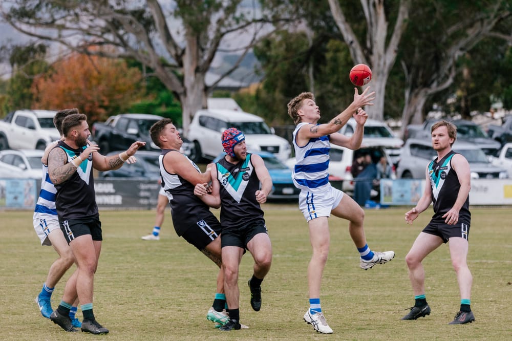 McGarrity the man as Cats cruise post image