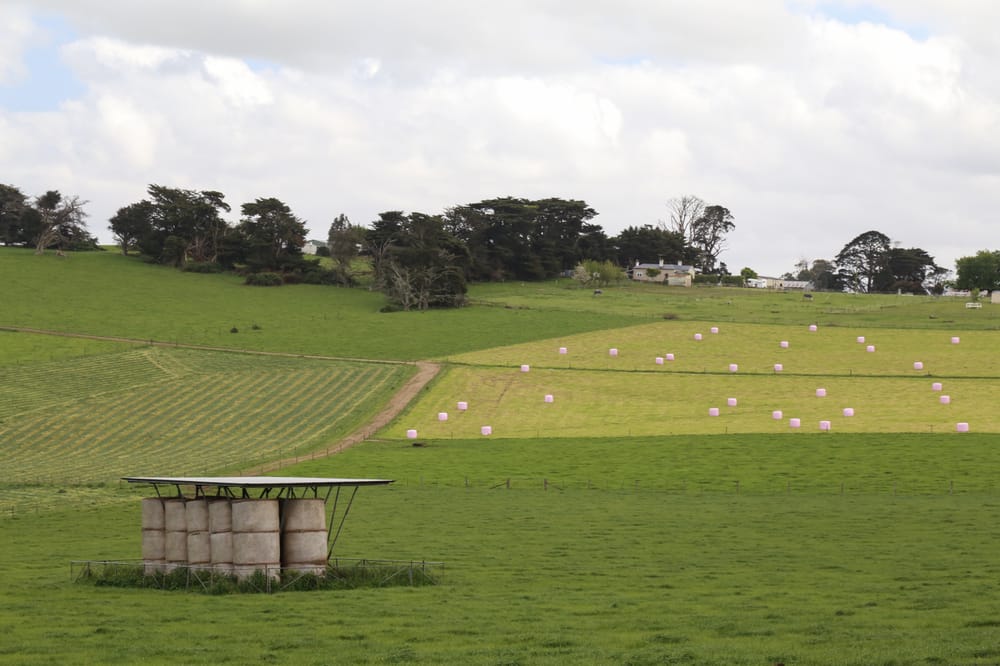 Don't forget the benefits of farm laneways post image