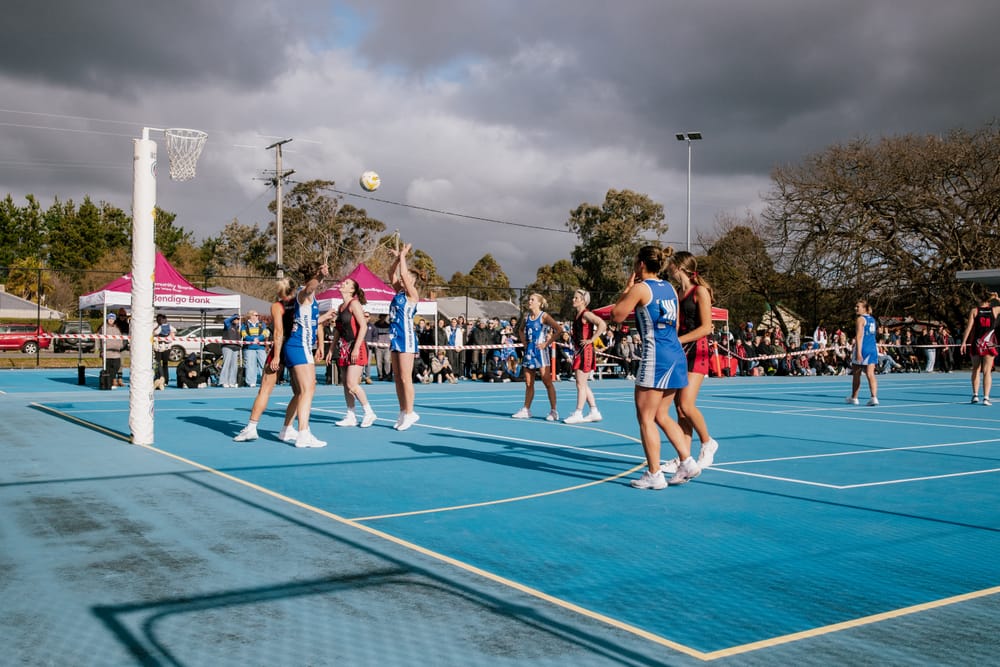 Cats remain undefeated post image