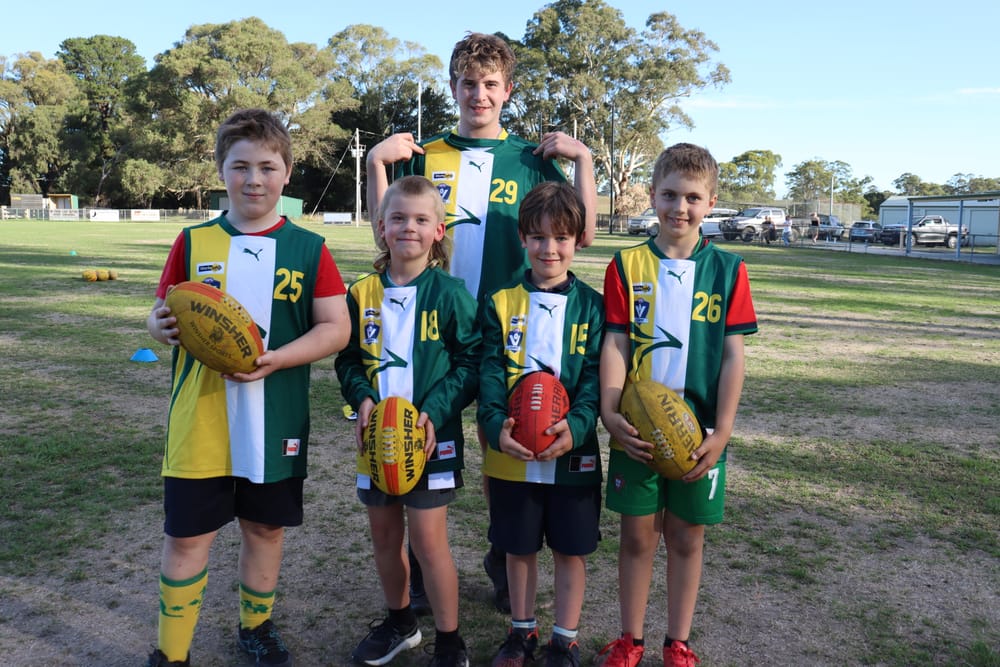 Keep our junior footy club alive post image