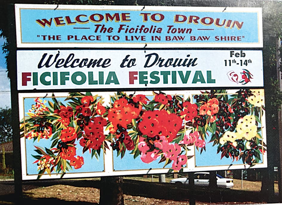 Snapshot of the past - Ficifolia Festival post image