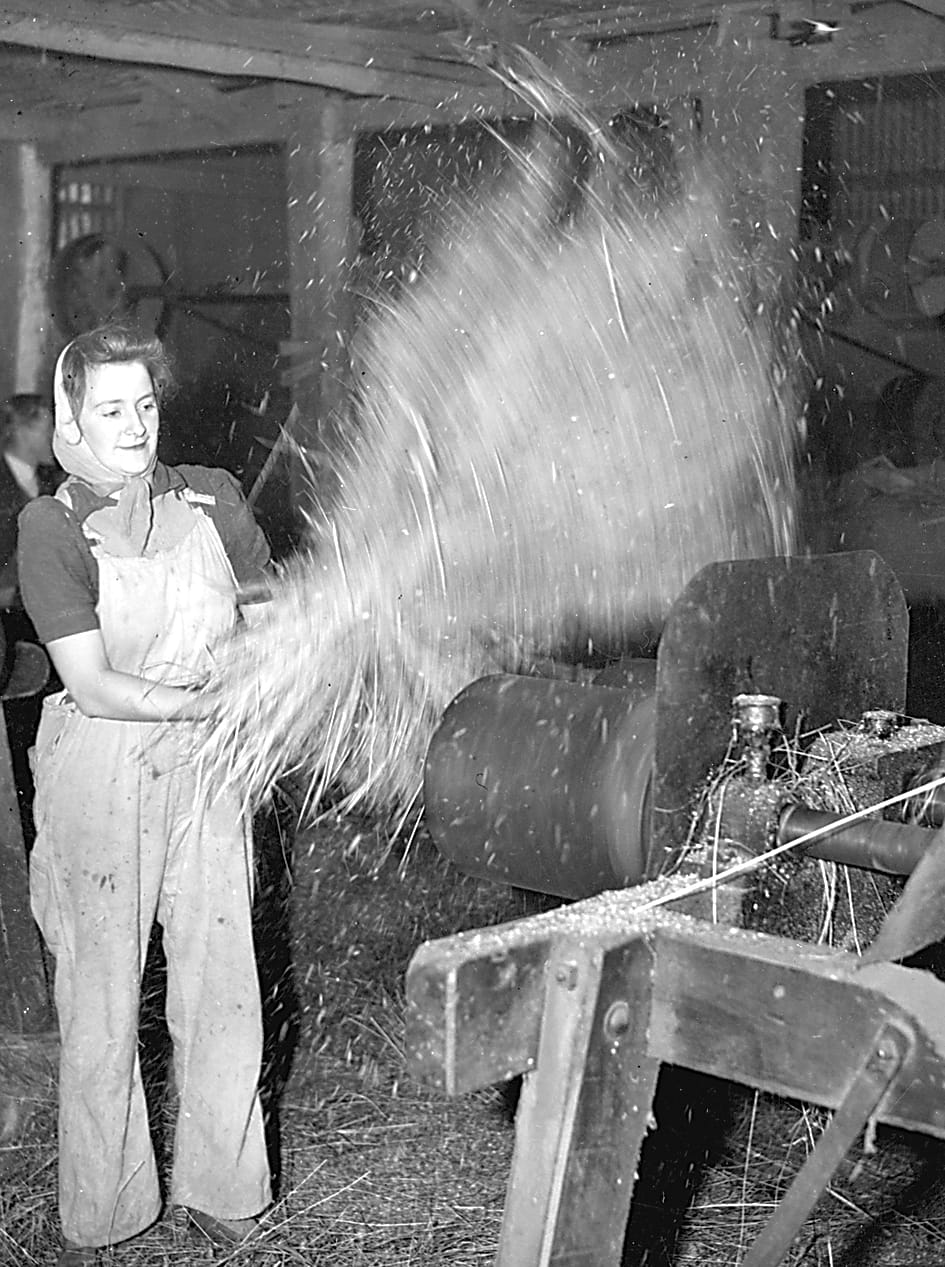 Snapshot of the past post image