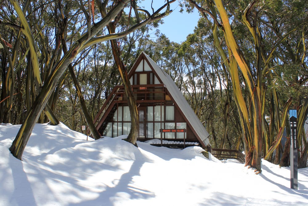 Mt Baw Baw up for grabs post image